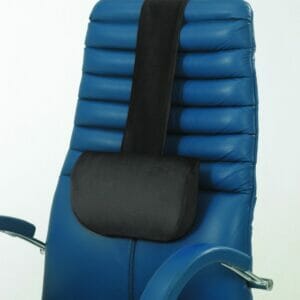 Harley Head & Back Support